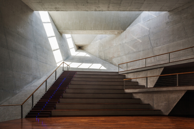 ����� �������� � Nelson Kon