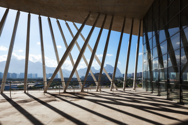 ����� �������� � Nelson Kon