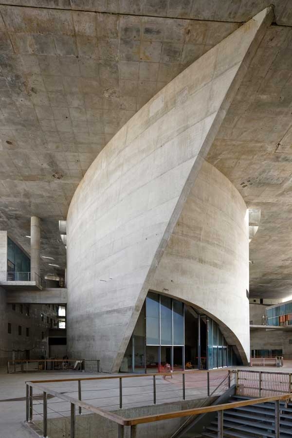 ����� �������� � Nelson Kon