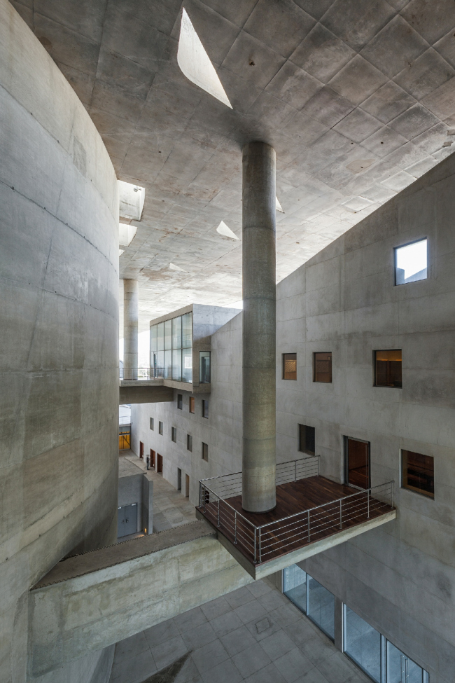 ����� �������� � Nelson Kon