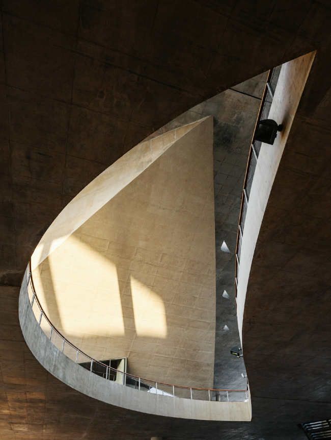 ����� �������� � Nelson Kon