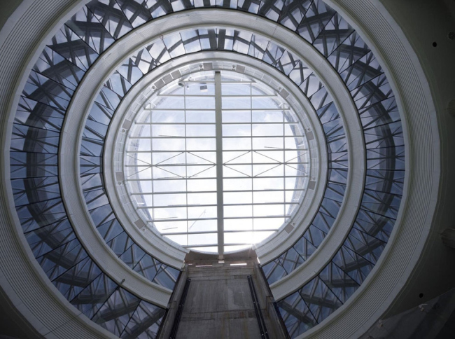 ������ ���������� ������������ � David Vicario