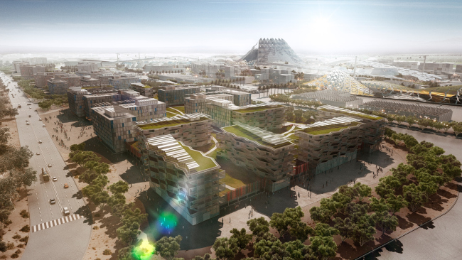 ���������� ��������� �����-2020. ��� �������� ������� �����-2020 � HOK