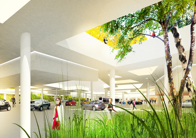 ���� ��������. ������