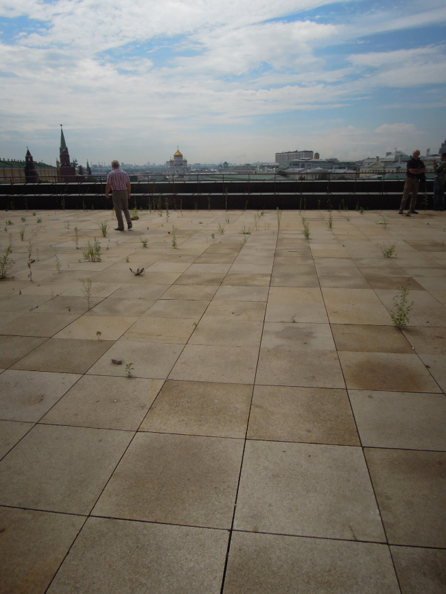 ������� ������������� ������������. ������������ ���������