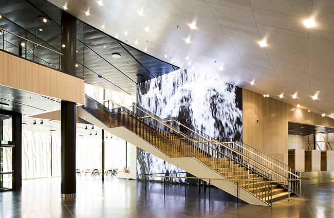 ��������� Aula Medica � Tord-Rikard Söderström