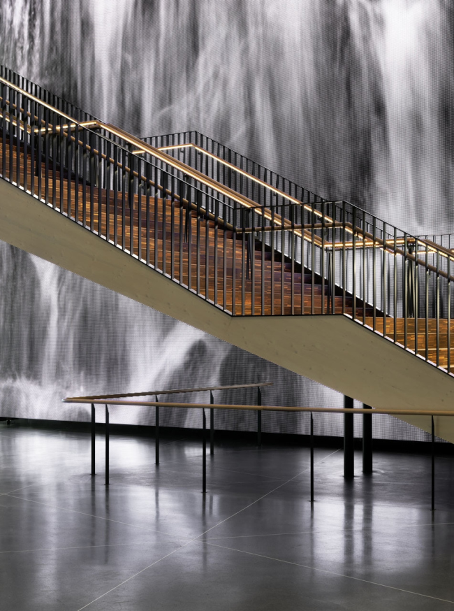 ��������� Aula Medica � Patrik Lindell