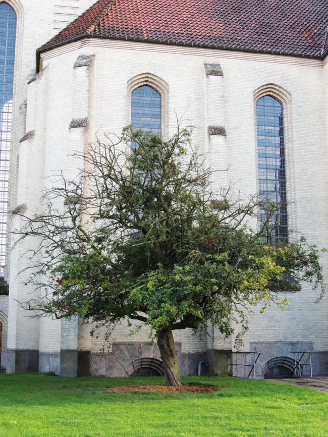 ������� ���������� � ��������� ���������