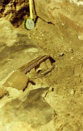 ���� � �����