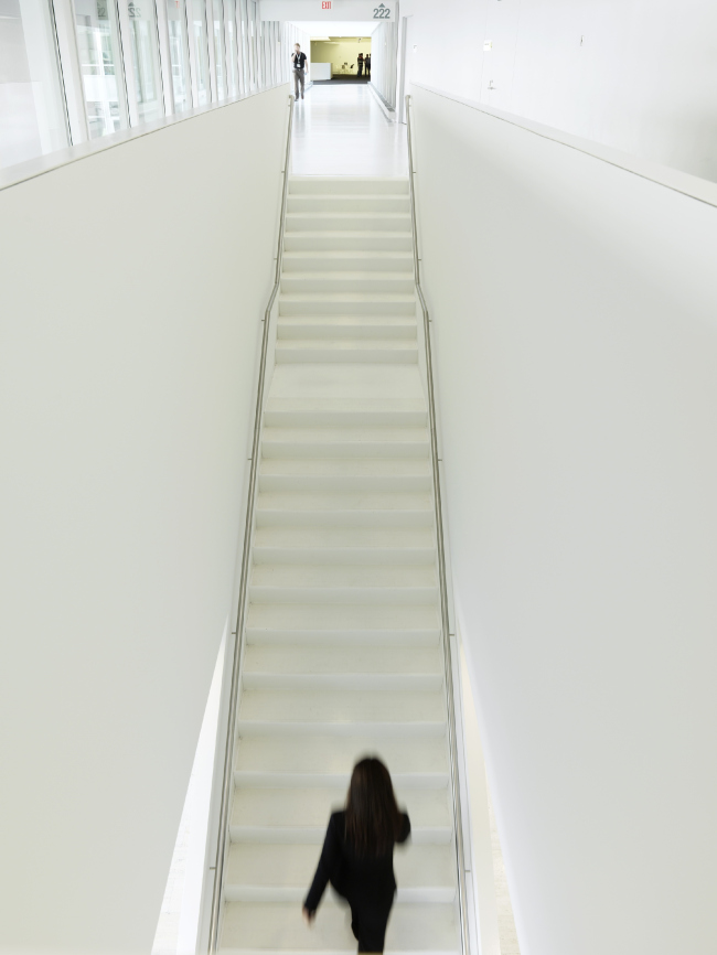 ����-�������� �������� 3M � paul ott photografiert