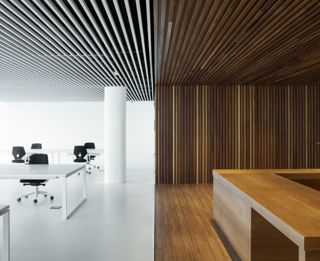 ������������ ����� ������ ������ � Aitor Ortiz