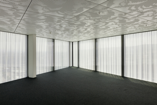 ����-�������� �������� Allianz � Jan Bitter