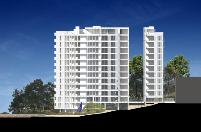 ����� �������� Vitrvm � Richard Meier & Partners