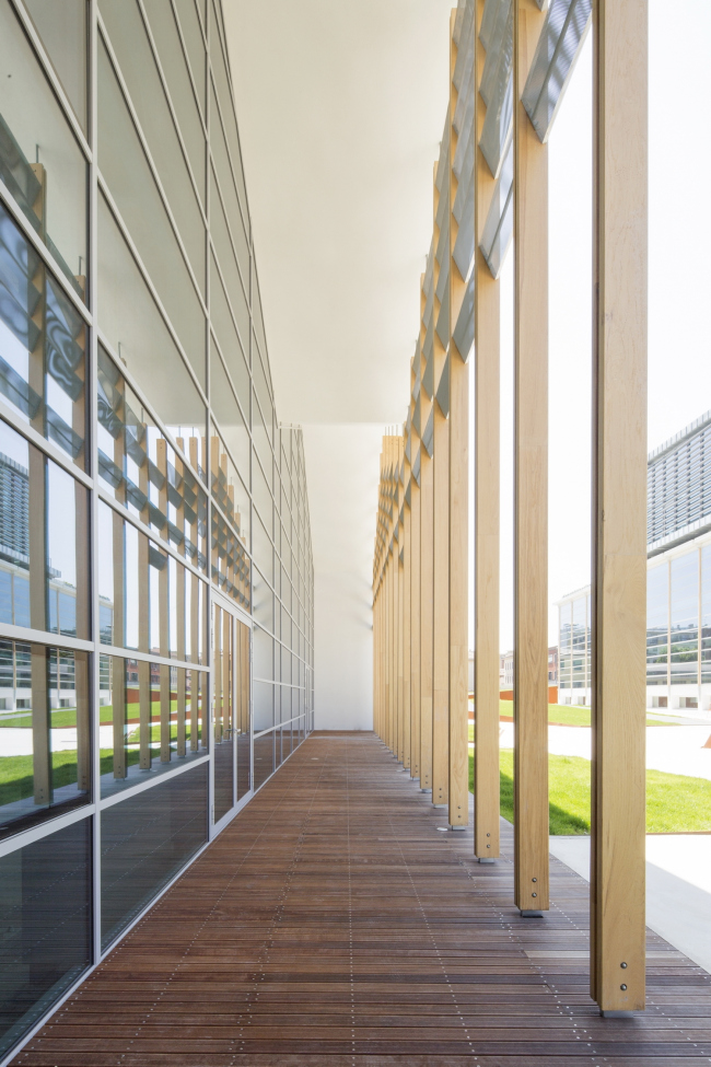 La Forgiatura. ���� � Andrea Puggiotto