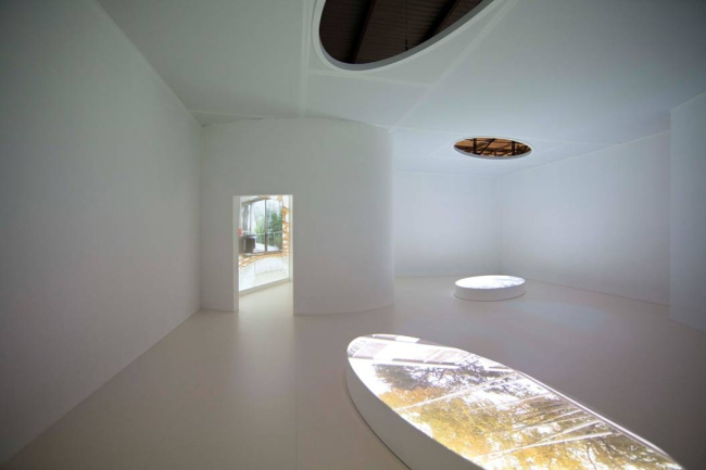 ��� ��������� ������ ���� � Davide Pizzigoni