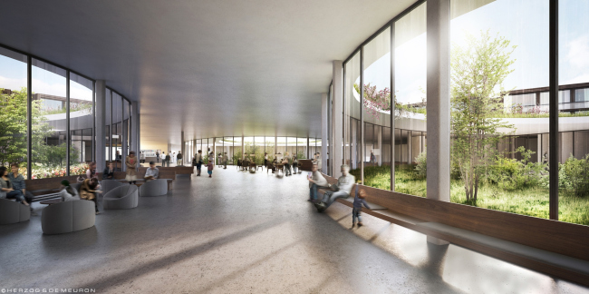 ����� �������� �������� ��������