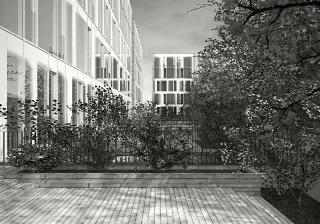 ����� ��� (�����������) ������ de luxe � ������ �������� ARCHITECTS