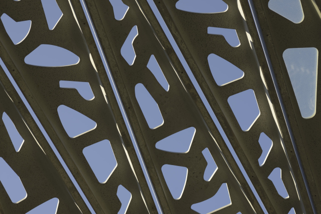 ������� ���� ����� � Olivier Amsellem. ������������� Agence Rudy Ricciotti