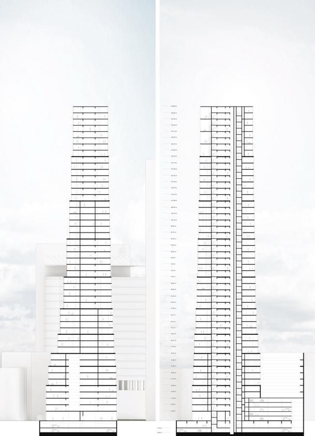 ���������� ������ nkbak. ����������� ������������� �������������� ��������