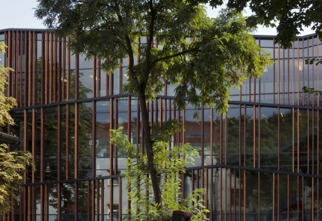 ���������� ����� ������������� ��� �������� � Krzysztof Ingarden