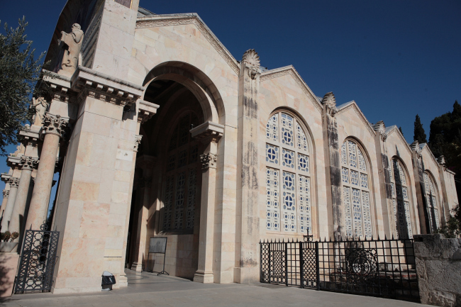 ������� ���� �����. ��� �����. ���������� �.�. ������� �������