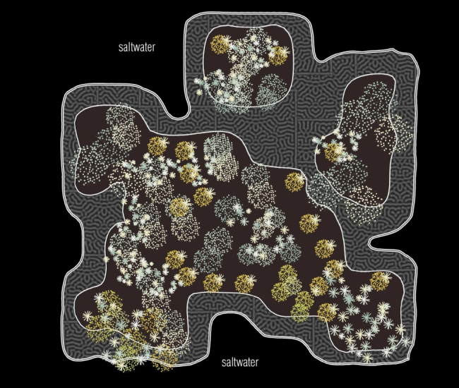 ����� �����, ������ �������. ������������� ����� ��������. ������������� ������� ��� ��������