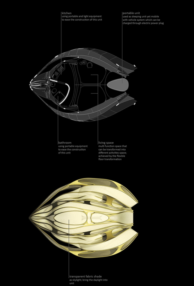 ����� ���� ����, ������� ����� ������. ������ ������ ��� ���������-������������