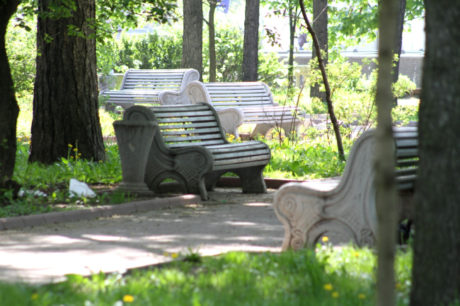 ����������� ������������� ��������������