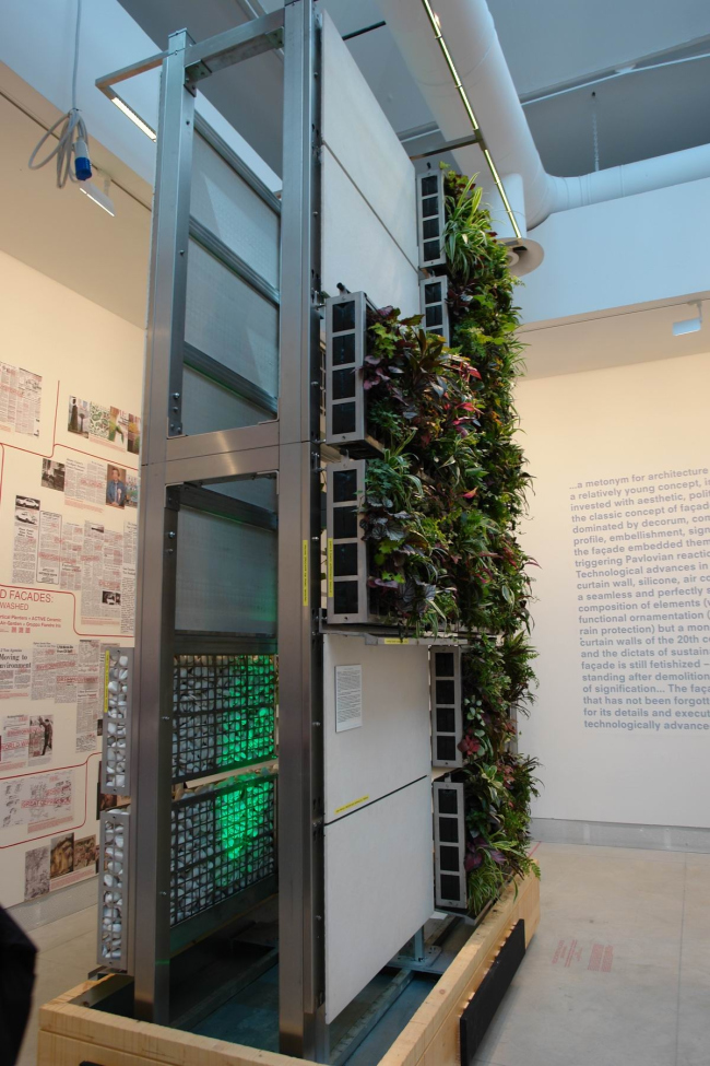 ������ ������ � ���� �������