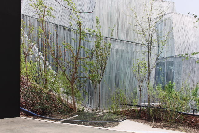 �������� �������. ���������� �.�����������