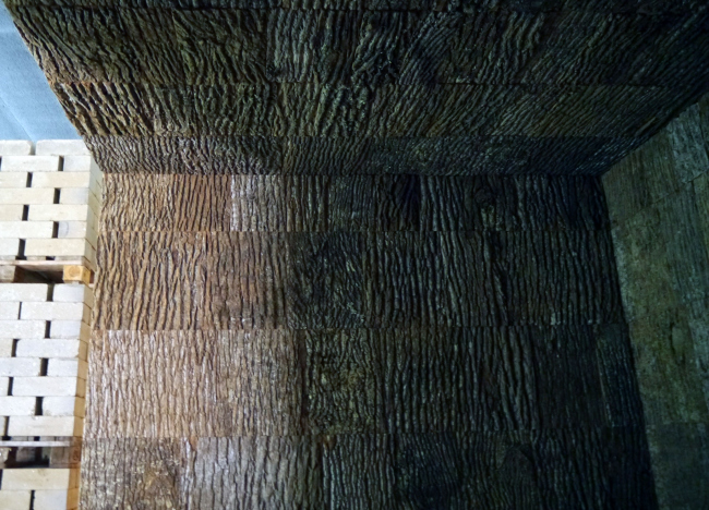 �������� �����. ���� ���� �����������