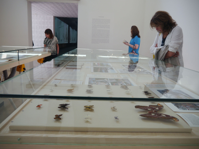 �������� �����. ���� ���� �����������