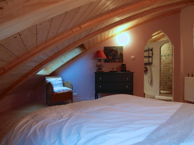 ����������� ��� Domespace � �����. ���������� ���� Velux�www.domespace.ru