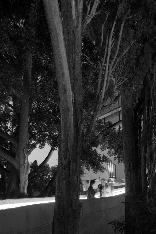 �������� �������� � ������������� ��������� ����� ������ ������ � Luke Hayes