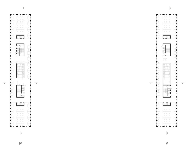 ���� �����������. ������ ��� ���������