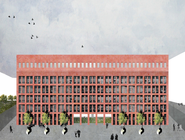 ���� �����������. ������ ��� ���������