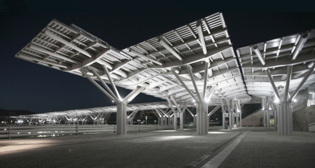 ������ ������������ ���� � ��������� �����