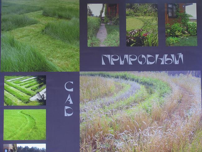 ���������� ��� ���� ��������� 