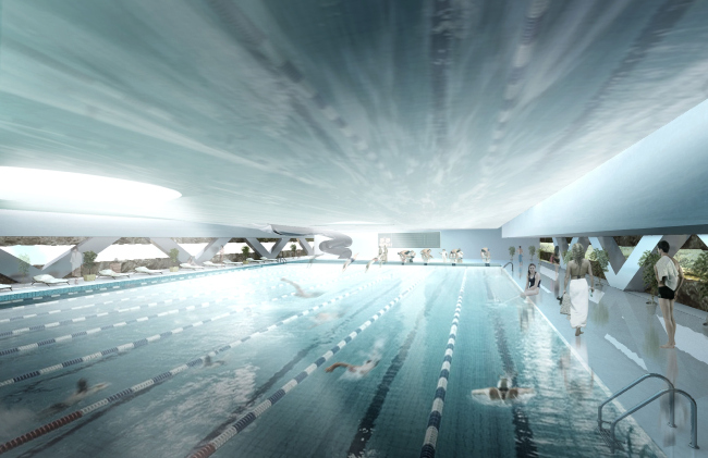 Concept of reconstructing the swimming complex of "Luzhniki"  Asadov Architectural Bureau