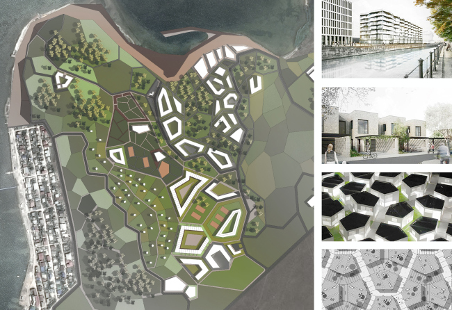 ��������� �����. ������ ����������. ����������� ������� ���������