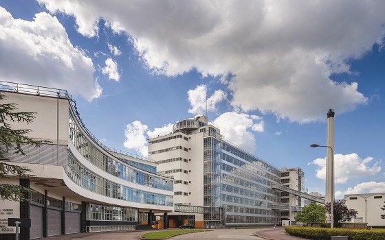 ������ �������� ������� ��� ����� � ����������. �����������: holland.com