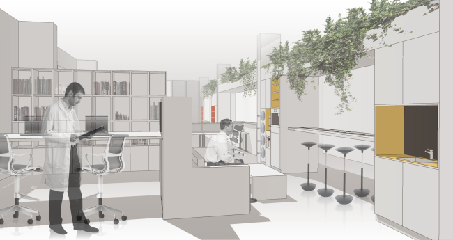 ������ ABD Architects. ����������� ������������� ��������������