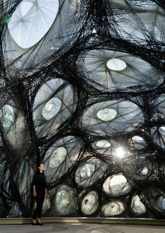 �������� ������������� ������������. ����������� ������������� ICD � ITKE