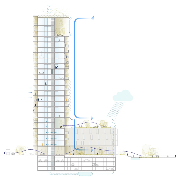 ����� ����� � ���������� � C.F. Møller & Brut