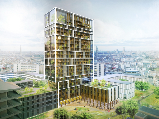 ����� ����� � ���������� � C.F. Møller & Brut