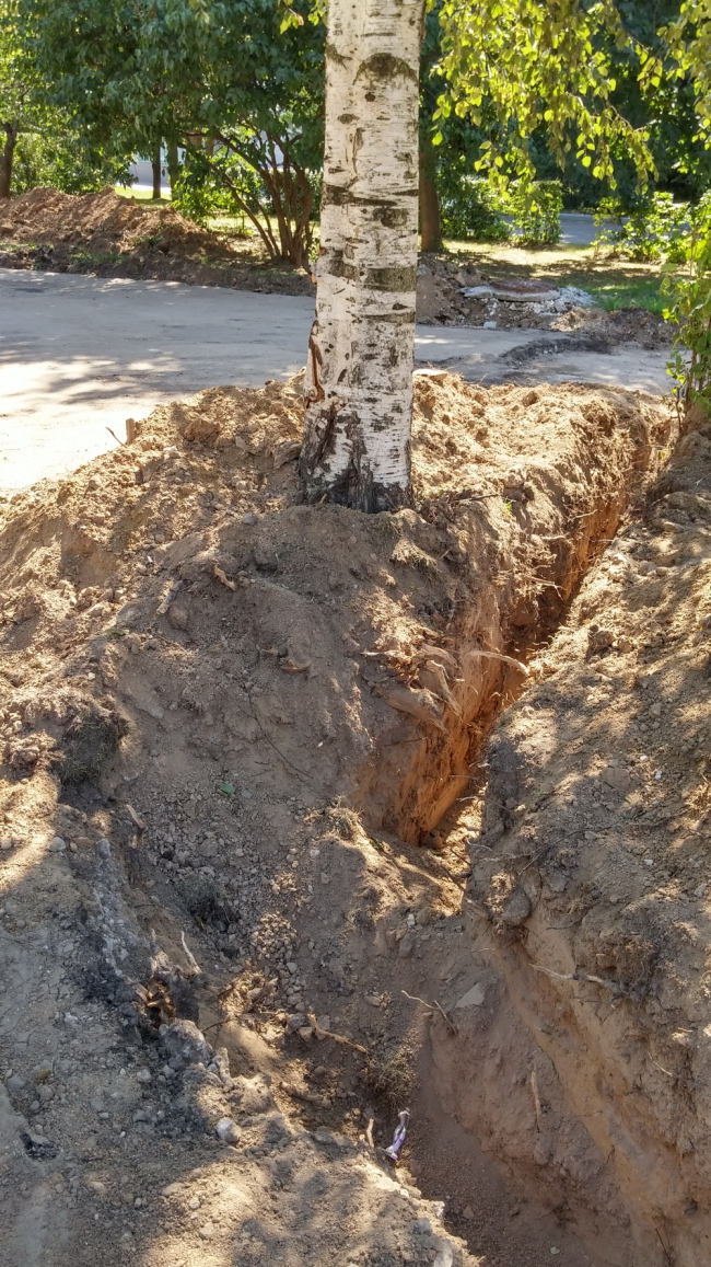 ������� ��� ����� ������� ���������. ���� 19 ���� 2014