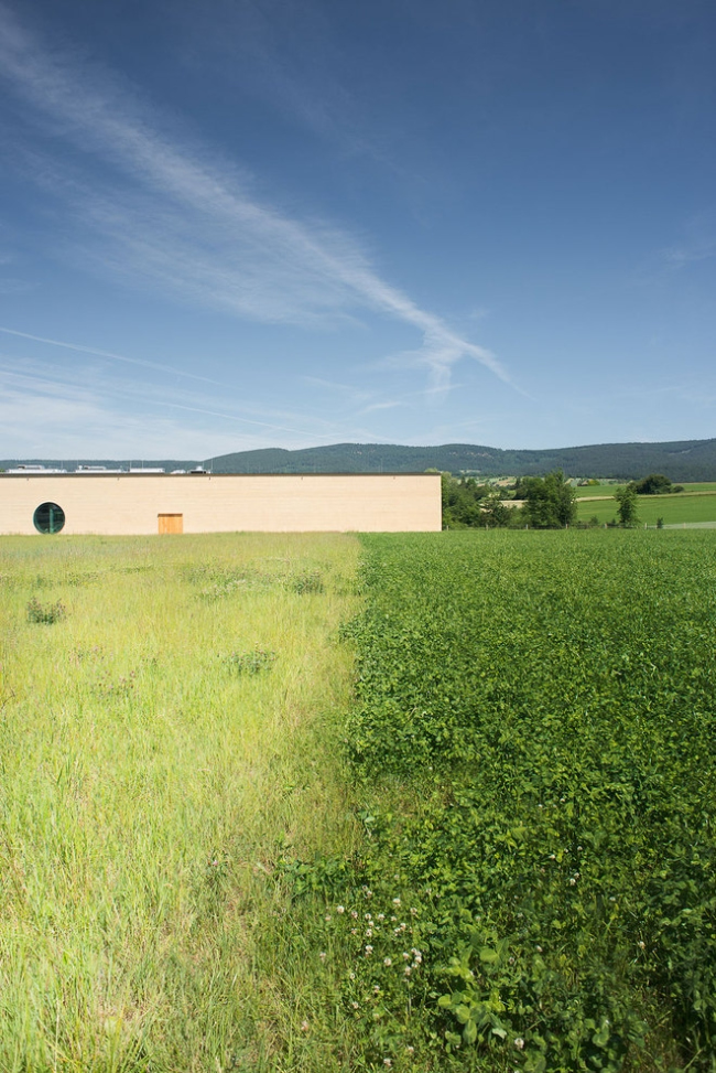 ����� ������������� ���� �������� Ricola � Simone Bossi