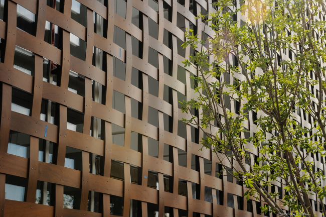 ����� �������� ������ � Madison McGraw/bfanyc.com