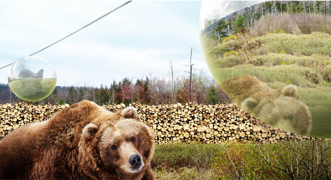 ������� � �������� � BIG