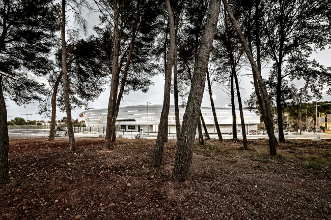 ������������� Azur Arena � Aldo Amoretti